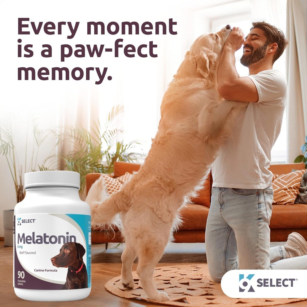 lignans-for-life-k9-select-pet-care-bund-5.jpg