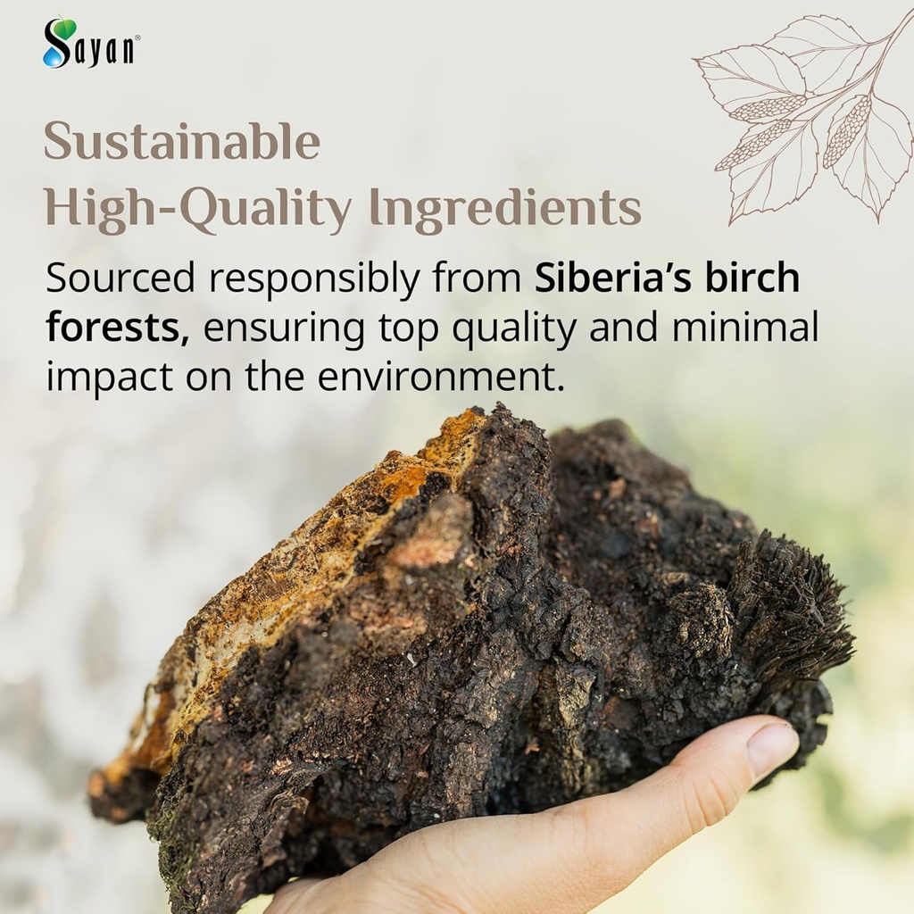 sayan-siberian-pure-raw-chaga-mushroom-c-5.jpg