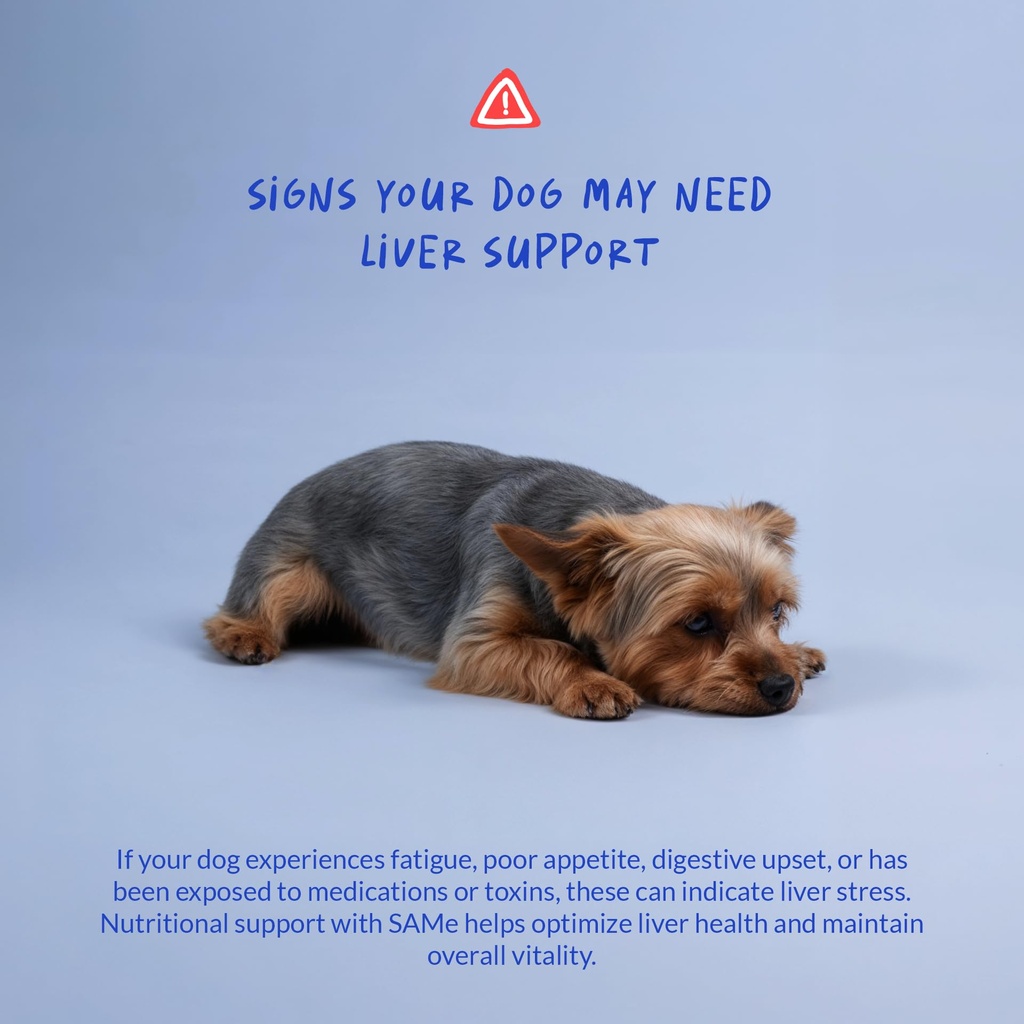 same-for-dogs-120-tablets-liver-suppleme-4.jpg