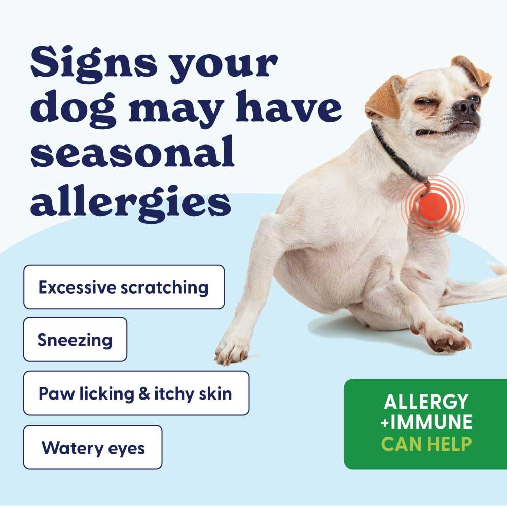 origin-labs-allergy-and-immune-support-s-3.jpg