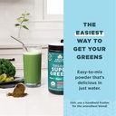 ancient-nutrition-supergreens-powder-wit-5.jpg
