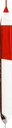 peanut-butter-cups-single-pack-5.jpg