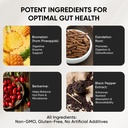 nuora-biofilm-probiotic-supports-digesti-3.jpg
