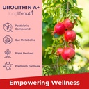 urolithin-a-1200mg-120-vegetarian-capsul-4.jpg