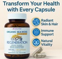 sea-moss-capsules-1476mg-organic-seamoss-3.jpg