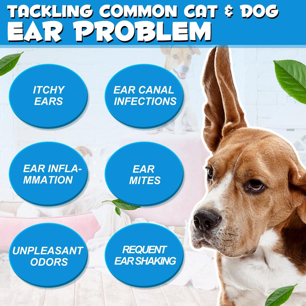 dog-ear-infection-treatment-drops-pets-e-3.jpg