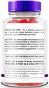 rize-labs-premier-keto-acv-gummies-premi-3.jpg