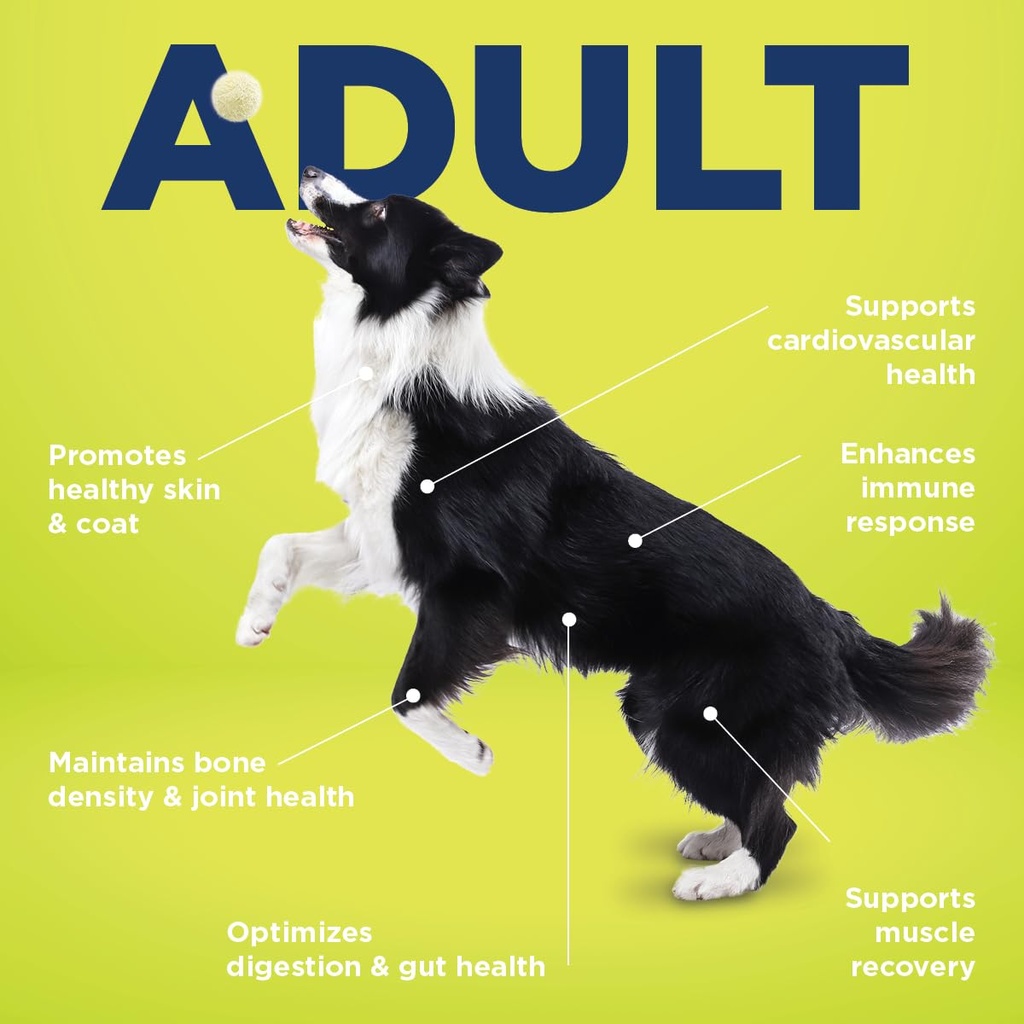vetericyn-all-in-1-multifunctional-dog-s-3.jpg