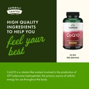 swanson-coq10-30-mg-240-caps-2-pack-5.jpg