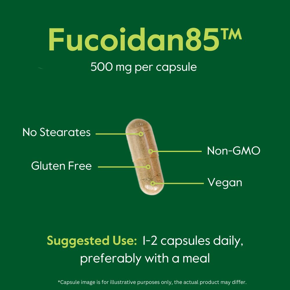 bestvite-fucoidan-extract-500mg-standard-6.jpg