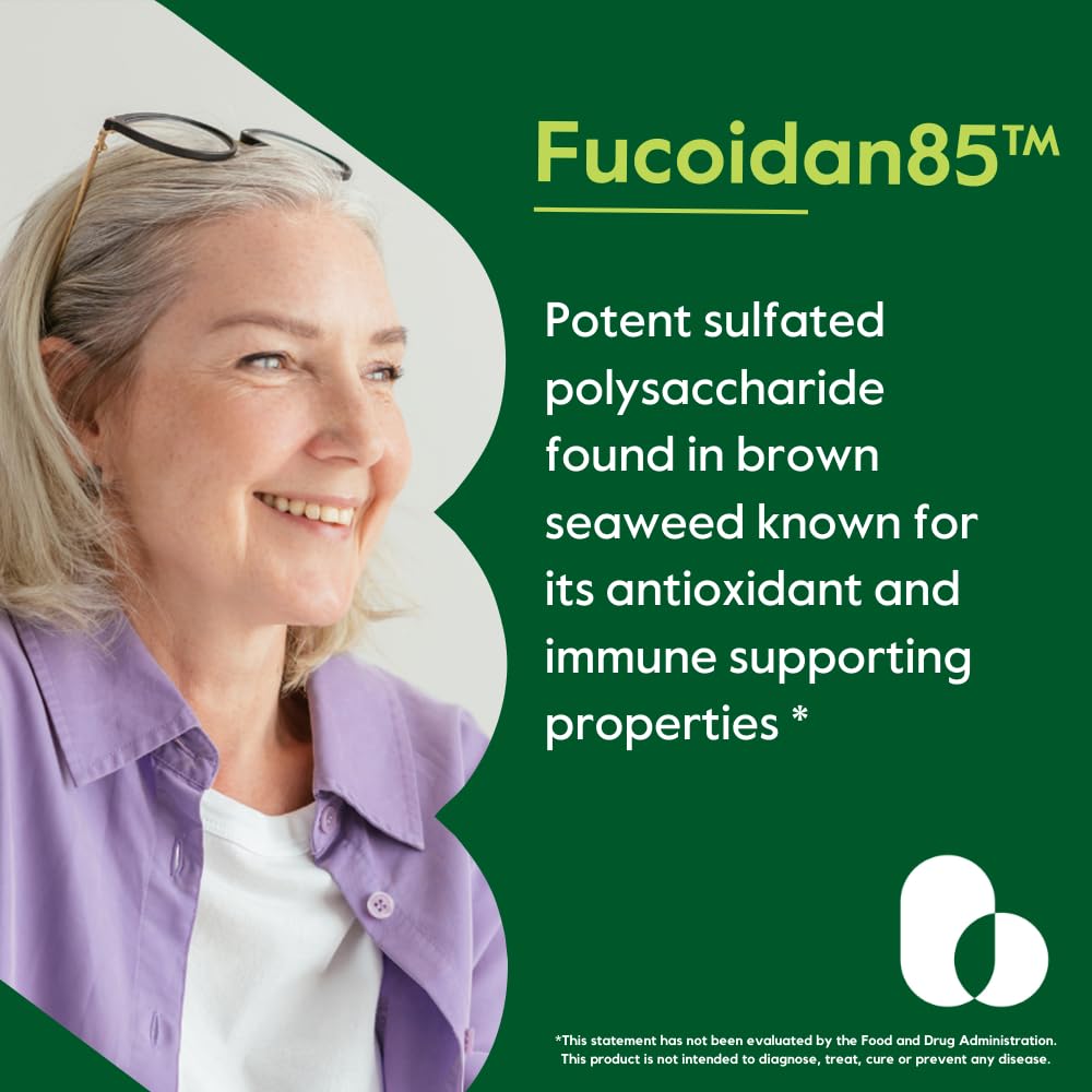 bestvite-fucoidan-extract-500mg-standard-4.jpg