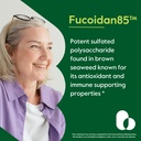 bestvite-fucoidan-extract-500mg-standard-4.jpg