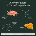 plant-people-wonderhydrate-sugar-free-el-3.jpg