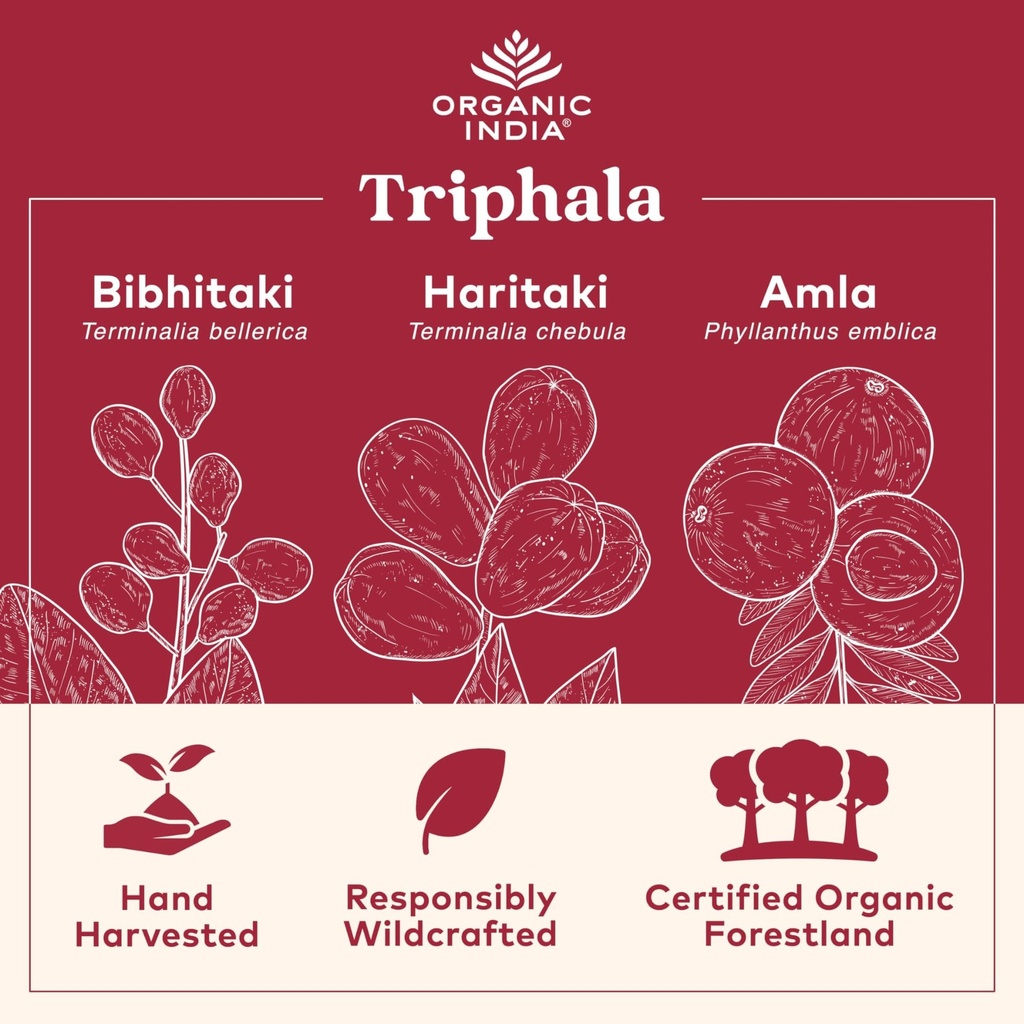 organic-india-triphala-herbal-supplement-4.jpg
