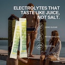 focus-caffeine-electrolyte-drink-mix-cog-2.jpg