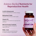 ladywell-fertility-egg-health-fertility--4.jpg