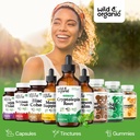 wild-organic-cryptolepis-tincture-herbal-5.jpg