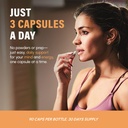 myelin-caps-brain-health-supplement-focu-5.jpg
