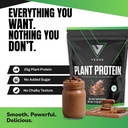vedge-vegan-protein-powder-plant-protein-2.jpg