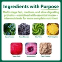 macrolife-naturals-macromeal-chocolate-v-2.jpg