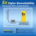 dihydroberberine-glucovantage-supplement-3.jpg