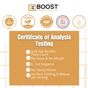 boostceuticals-d-ribose-500mg-capsules-1-2.jpg
