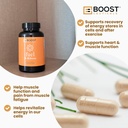 boostceuticals-d-ribose-500mg-capsules-1-5.jpg