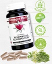 kroeger-herb-wormwood-combination-vegeta-3.jpg