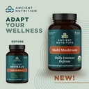 ancient-nutrition-mushroom-supplement-or-2.jpg
