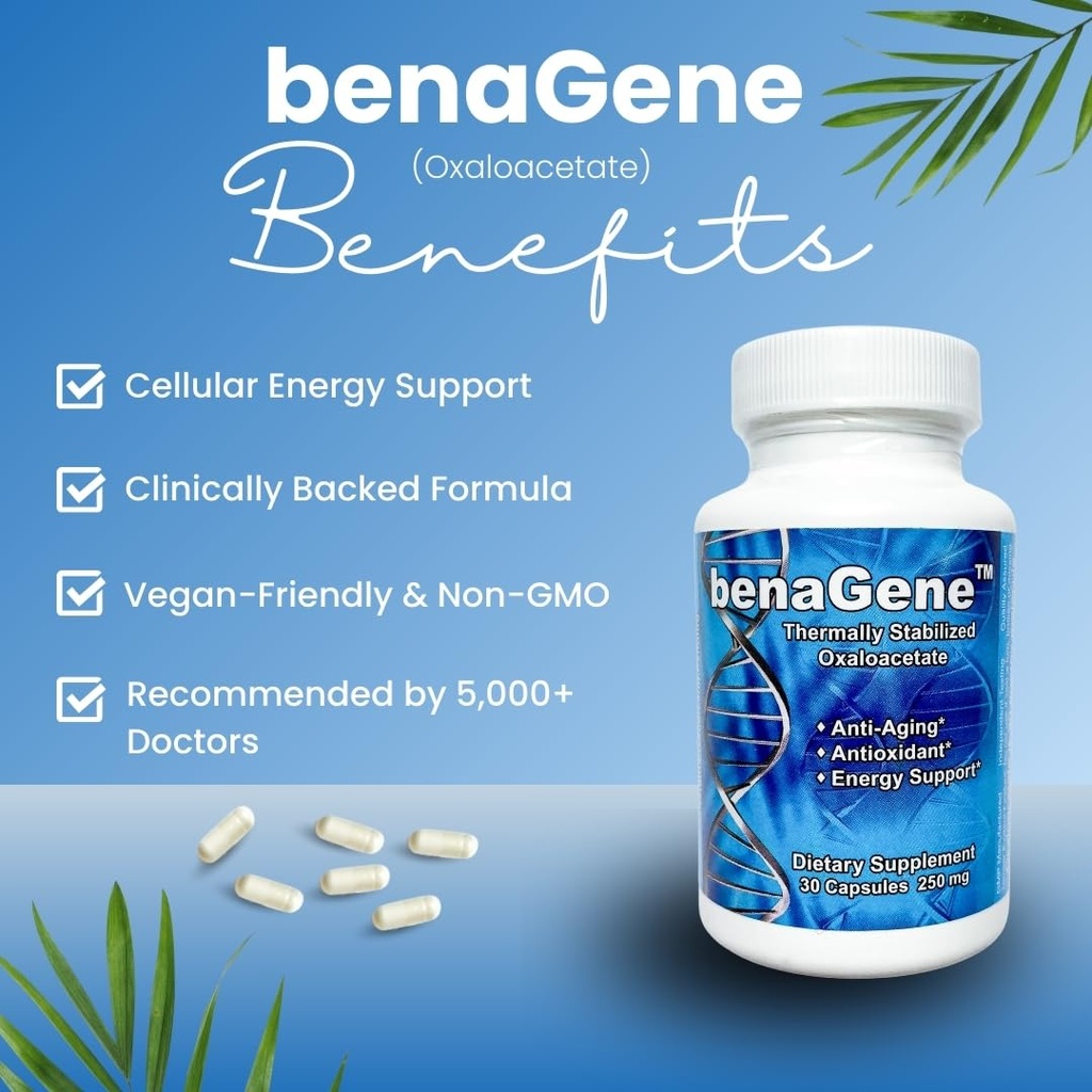 benagene-oxaloacetate-supplement-support-2.jpg