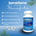 benagene-oxaloacetate-supplement-support-2.jpg