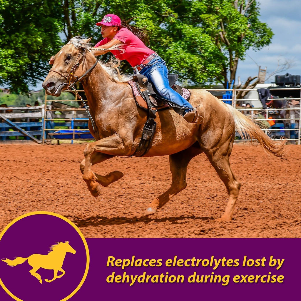 farnam-horse-health-apple-dex-apple-flav-2.jpg