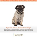 herbsmith-spector-eye-vision-support-for-2.jpg
