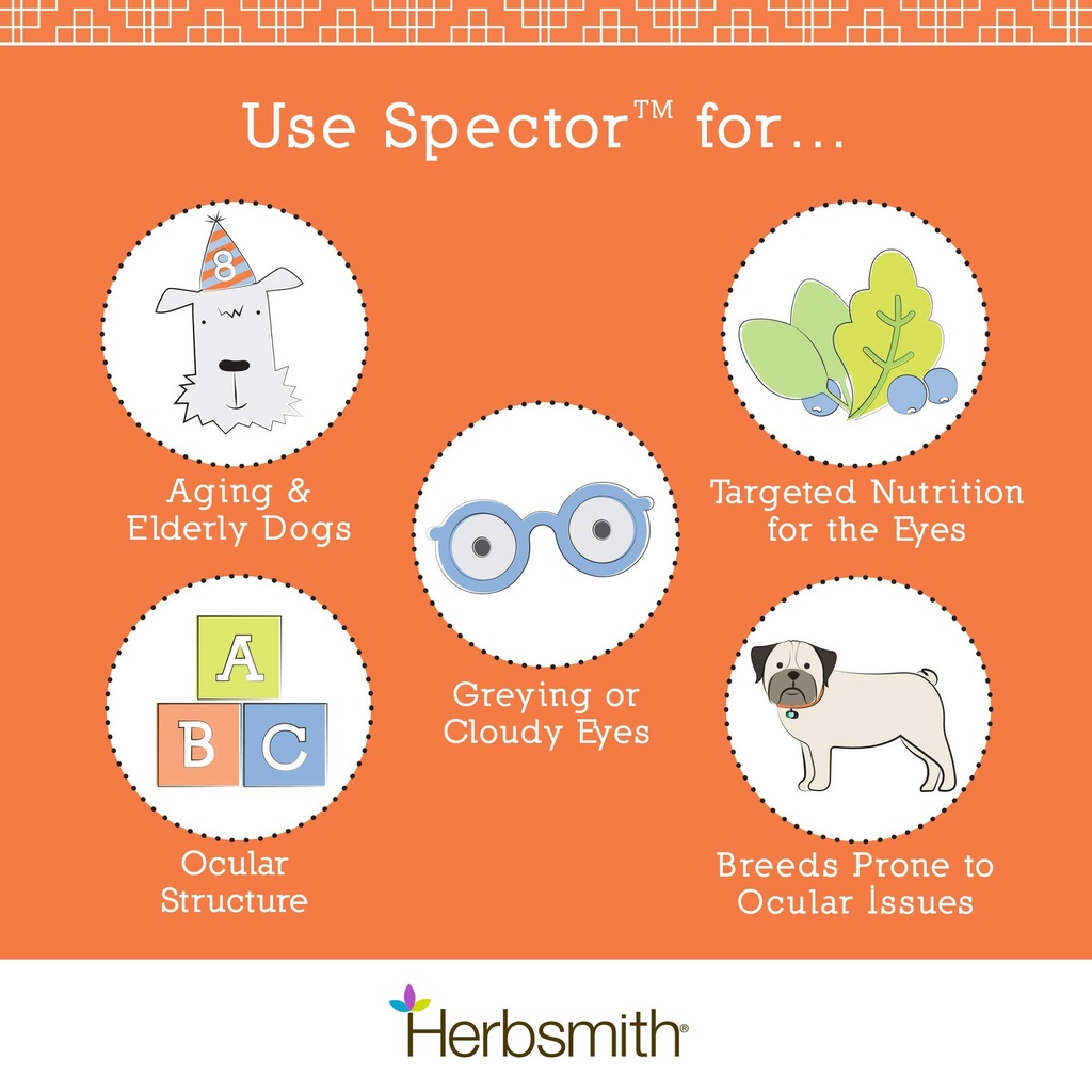 herbsmith-spector-eye-vision-support-for-5.jpg