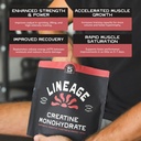 lineage-provisions-micronized-creatine-m-6.jpg