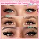 tnfvloneins-lash-clusters-wispy-eyelash--2.jpg