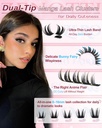 bunny-lash-clusters-manga-eyelash-cluste-3.jpg
