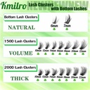 lash-clusters-with-bottom-lashes-cluster-3.jpg