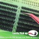 lash-clusters-with-bottom-lashes-cluster-6.jpg