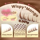 brown-lash-clusters-fairy-lash-extension-2.jpg