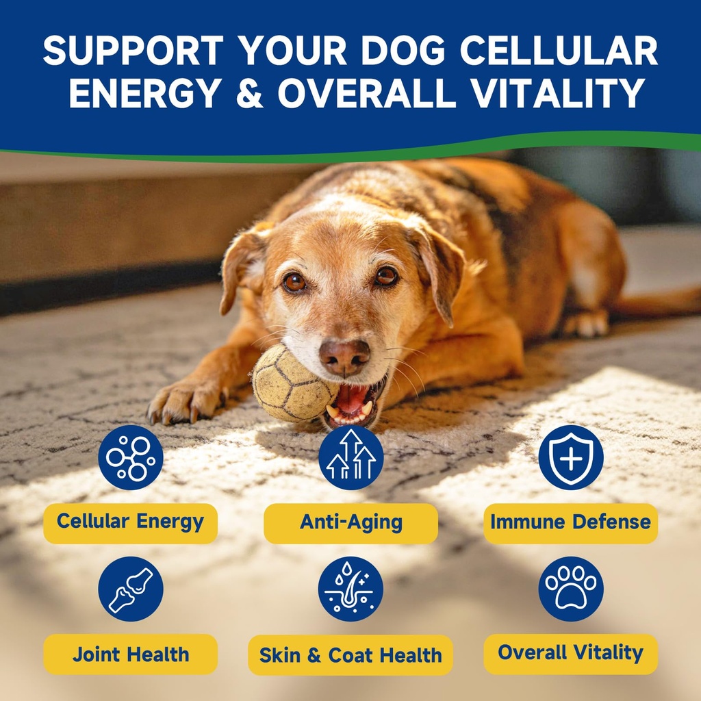nad-soft-chews-for-dogs-taurine-suppleme-5.jpg