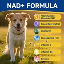 nad-soft-chews-for-dogs-taurine-suppleme-6.jpg