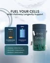 zenos-health-cellzen-nac-1000mg-n-acetyl-4.jpg