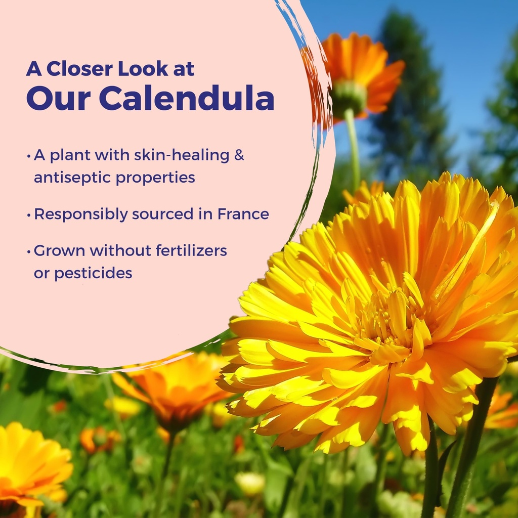 boiron-calendula-cream-for-first-aid-min-2.jpg