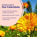 boiron-calendula-cream-for-first-aid-min-2.jpg