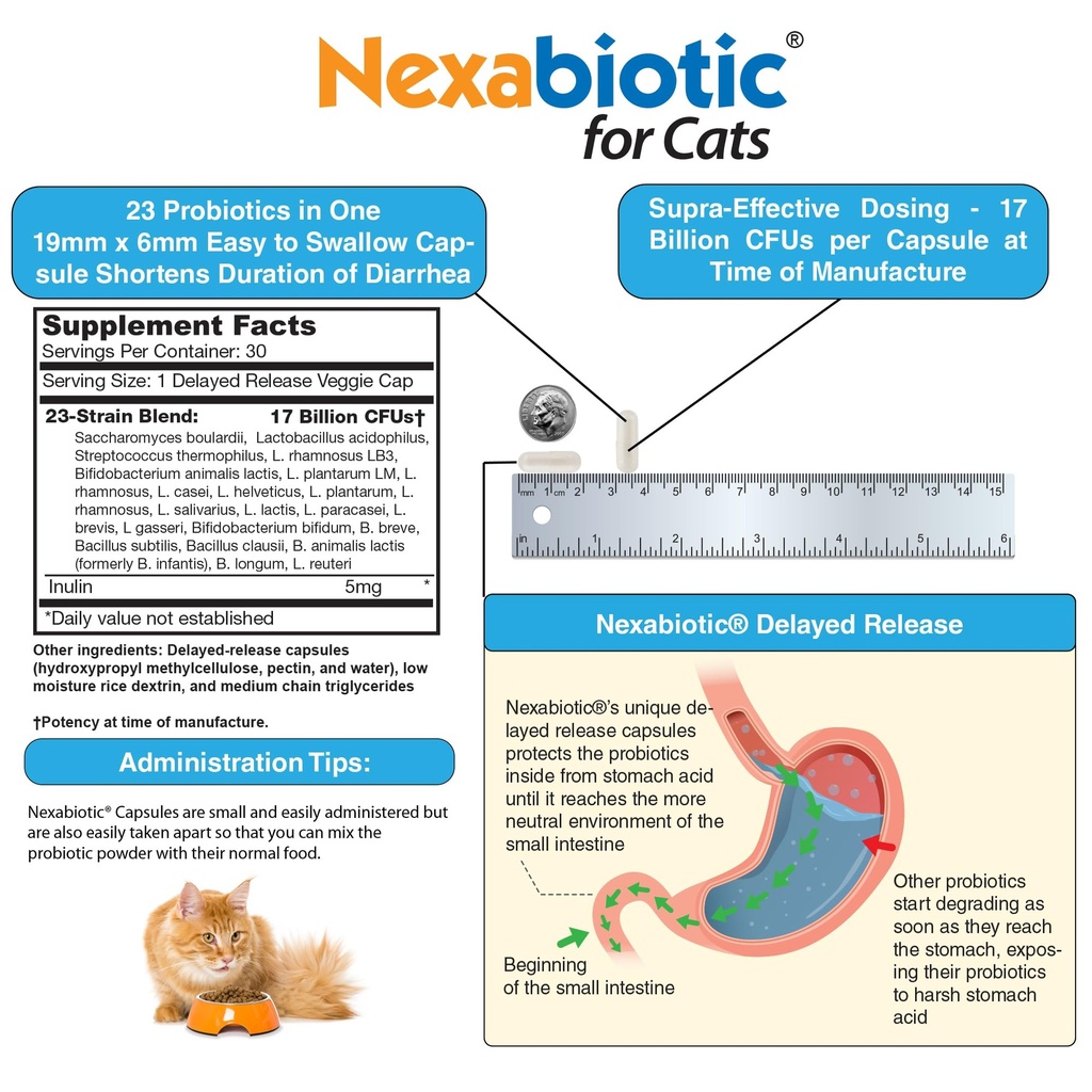 drformulas-nexabiotic-probiotics-for-cat-4.jpg