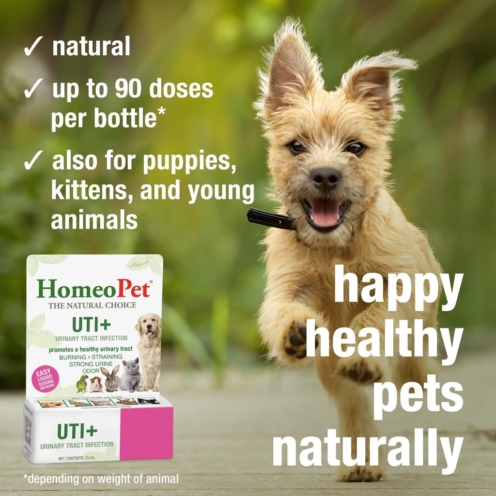 homeopet-uti-urinary-tract-supplement-sa-4.jpg