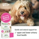 homeopet-uti-urinary-tract-supplement-sa-2.jpg