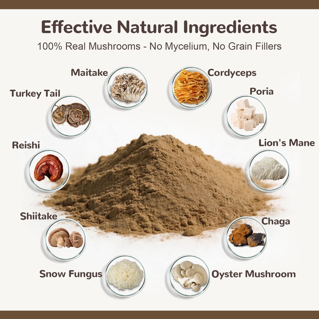 turkey-tail-mushroom-for-dogs-cats-organ-4.jpg