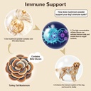 turkey-tail-mushroom-for-dogs-cats-organ-2.jpg